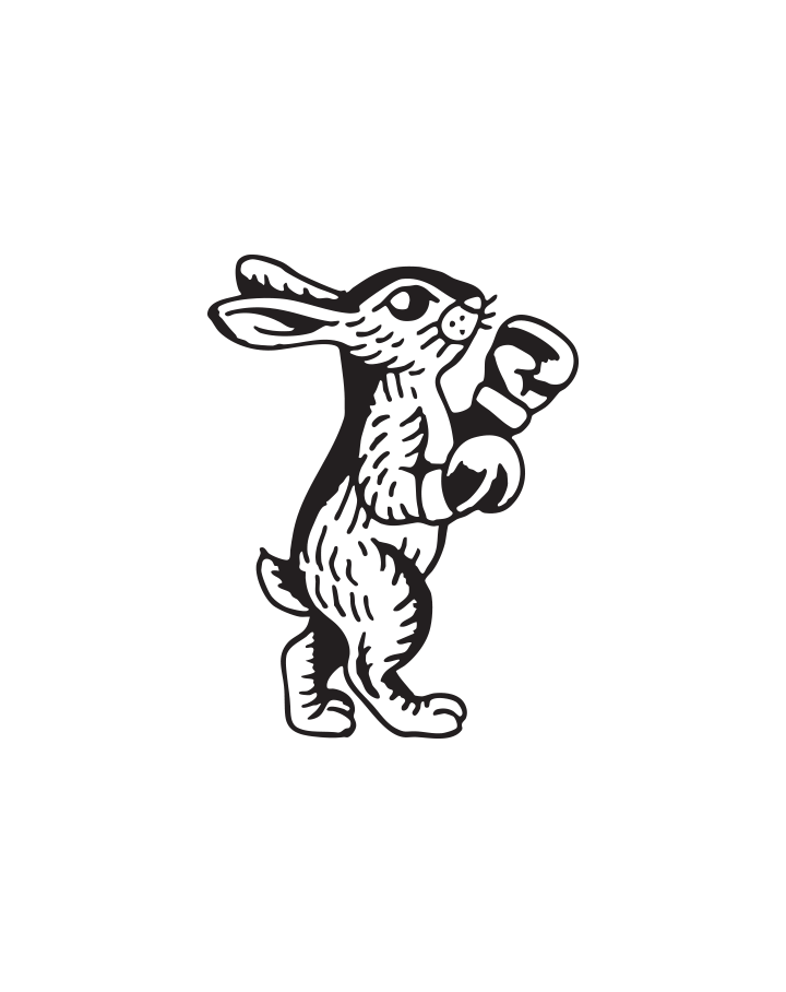 Boxing Bunny InkUp