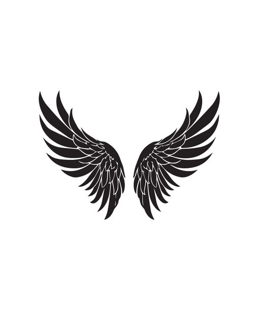 Aerial Wings
