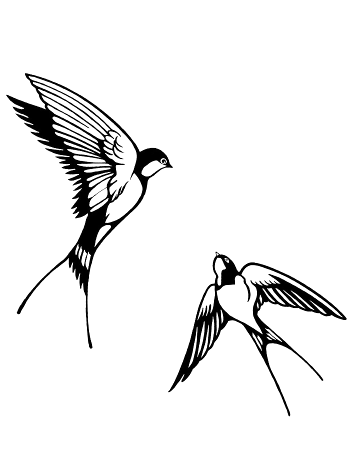 Twin Swallows InkUp