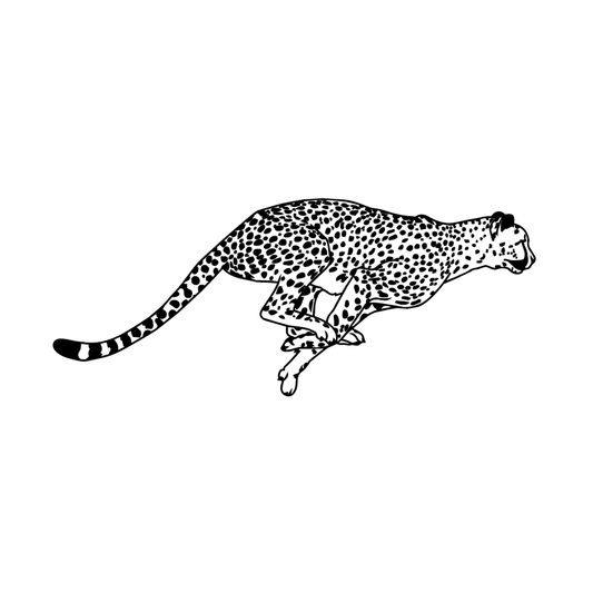 Sprint — cheetah mid-sprint, all four legs off the ground, lateral profile semi permanent tattoo, 3×3 inch, for forearm or calf