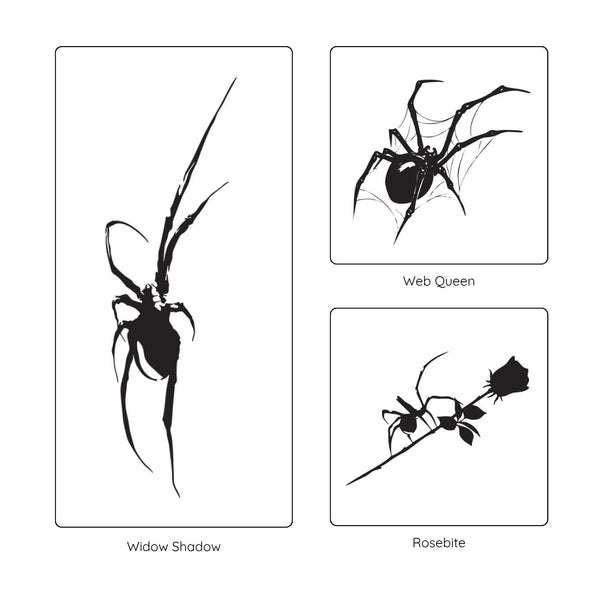Spider Collection