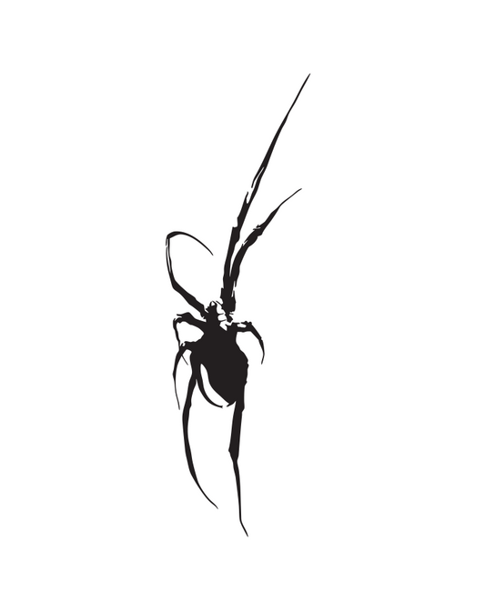 Widow Shadow - InkUp