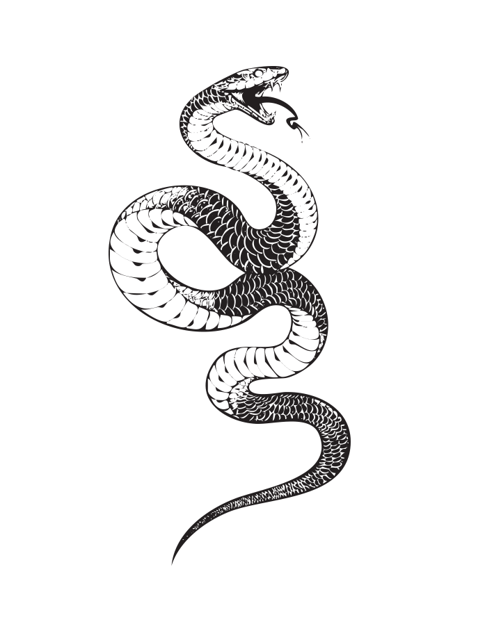 Cobra Strike - InkUp